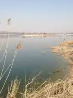春日沙河