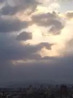 橡树湾