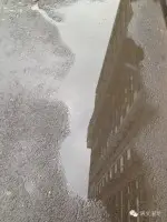 夜雨